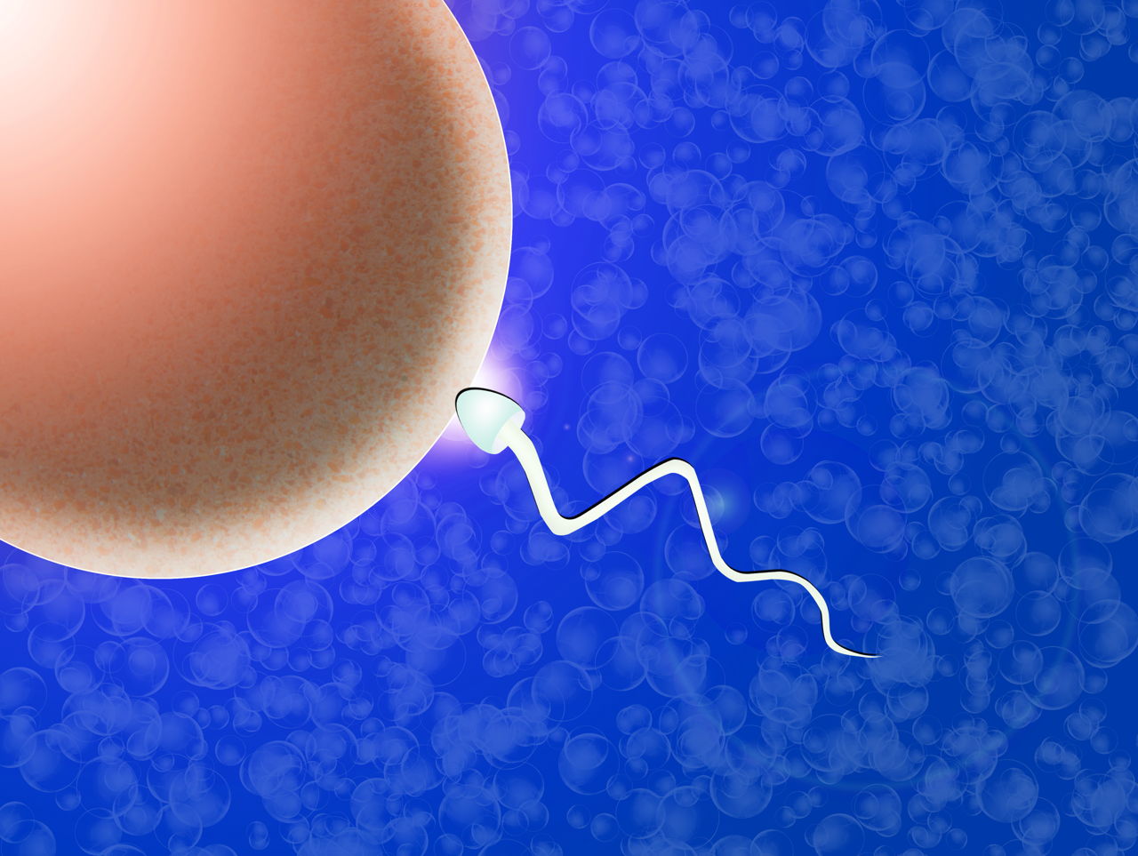 What is IVF or In Vitro Fertilization
